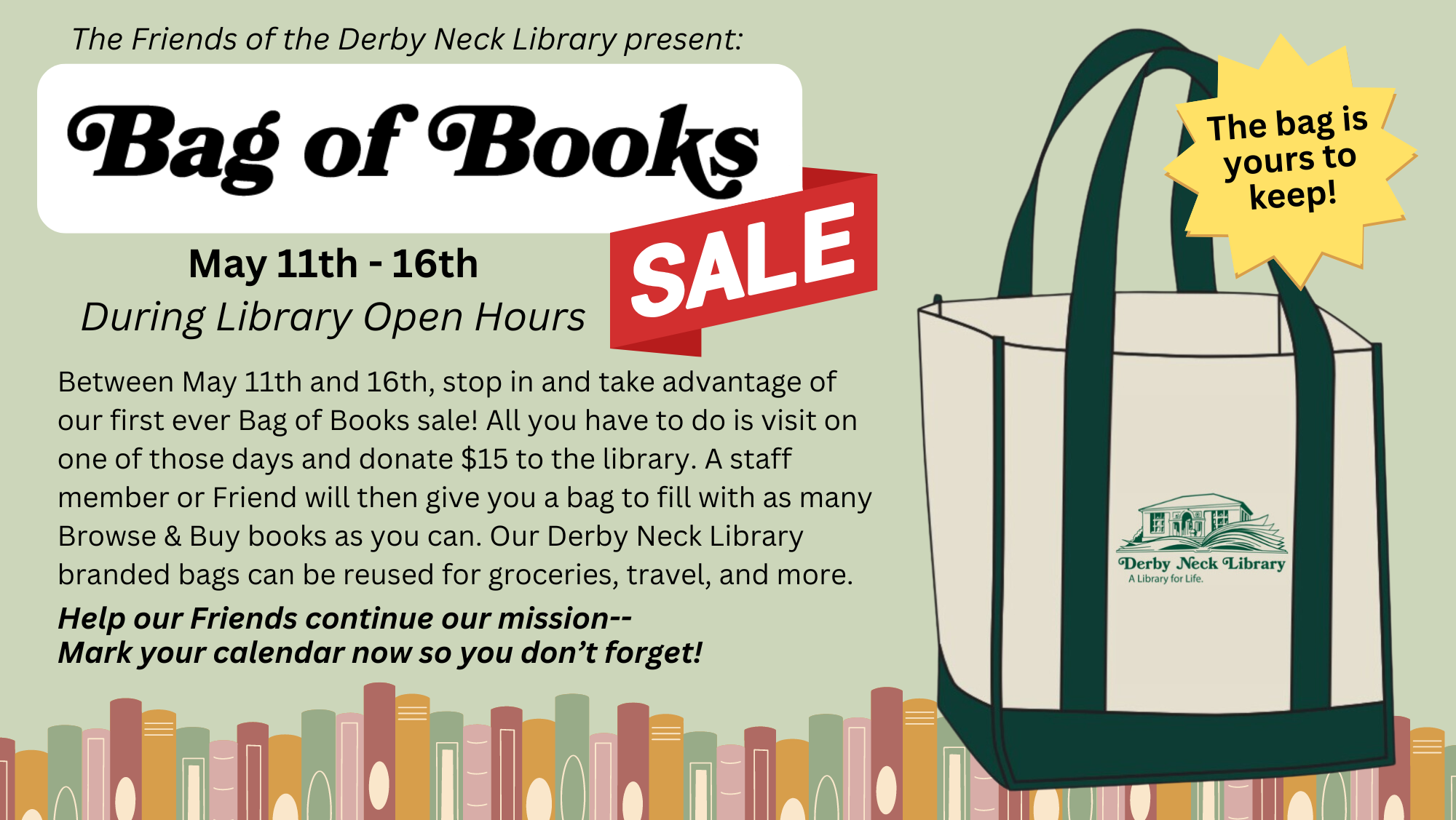 DNL Friends Bag of Books Sale!